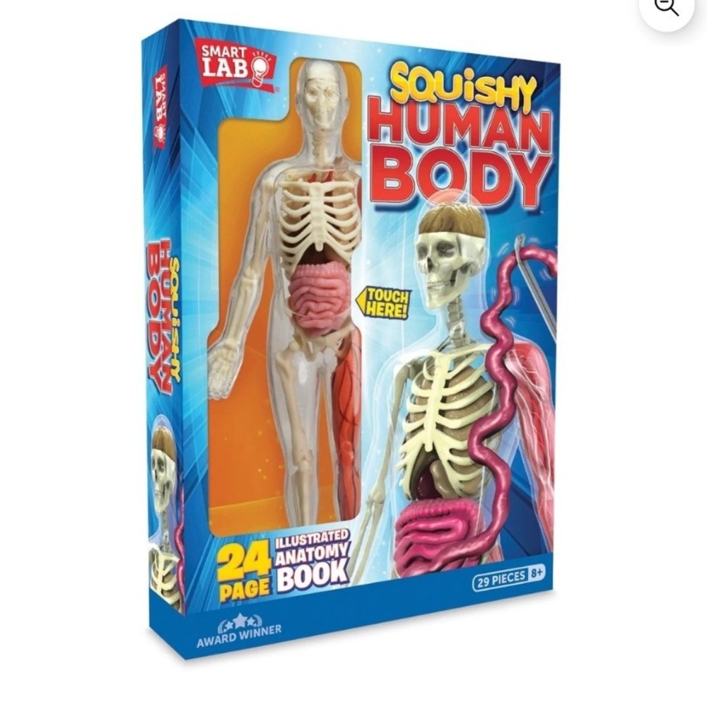 SmartLab Toys Squishy Human Body 29 Piece Anatomy Model Kit with 24 Page Book